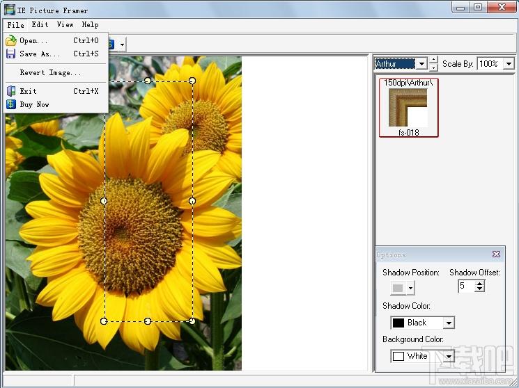 ImageElements,相框,图片相框特效