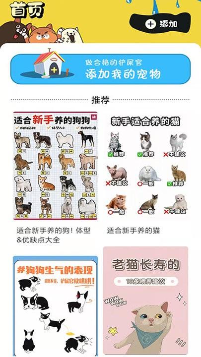 肥猫看看app手机版(改名肥猫赚钱)下载,肥猫看看,宠物app